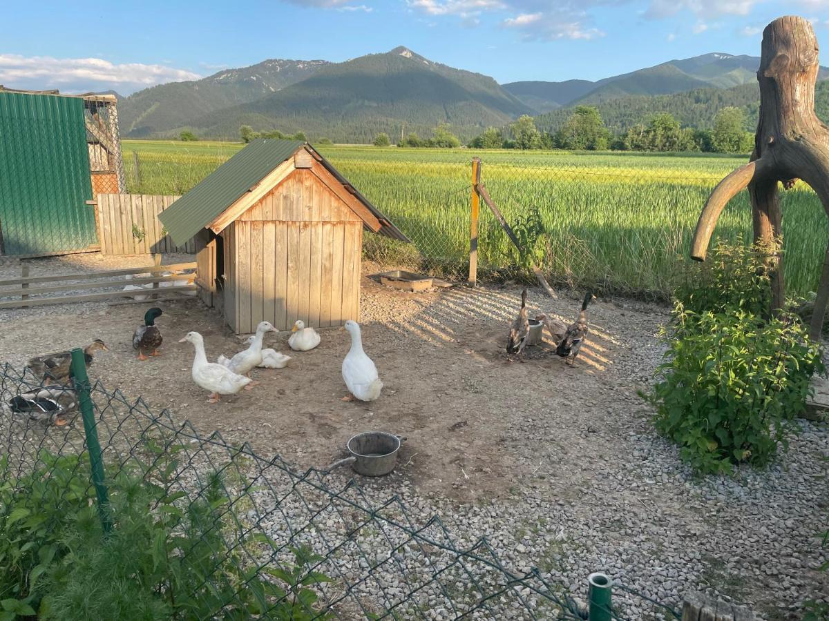 Privat Luna Ľubeľa Extérieur photo